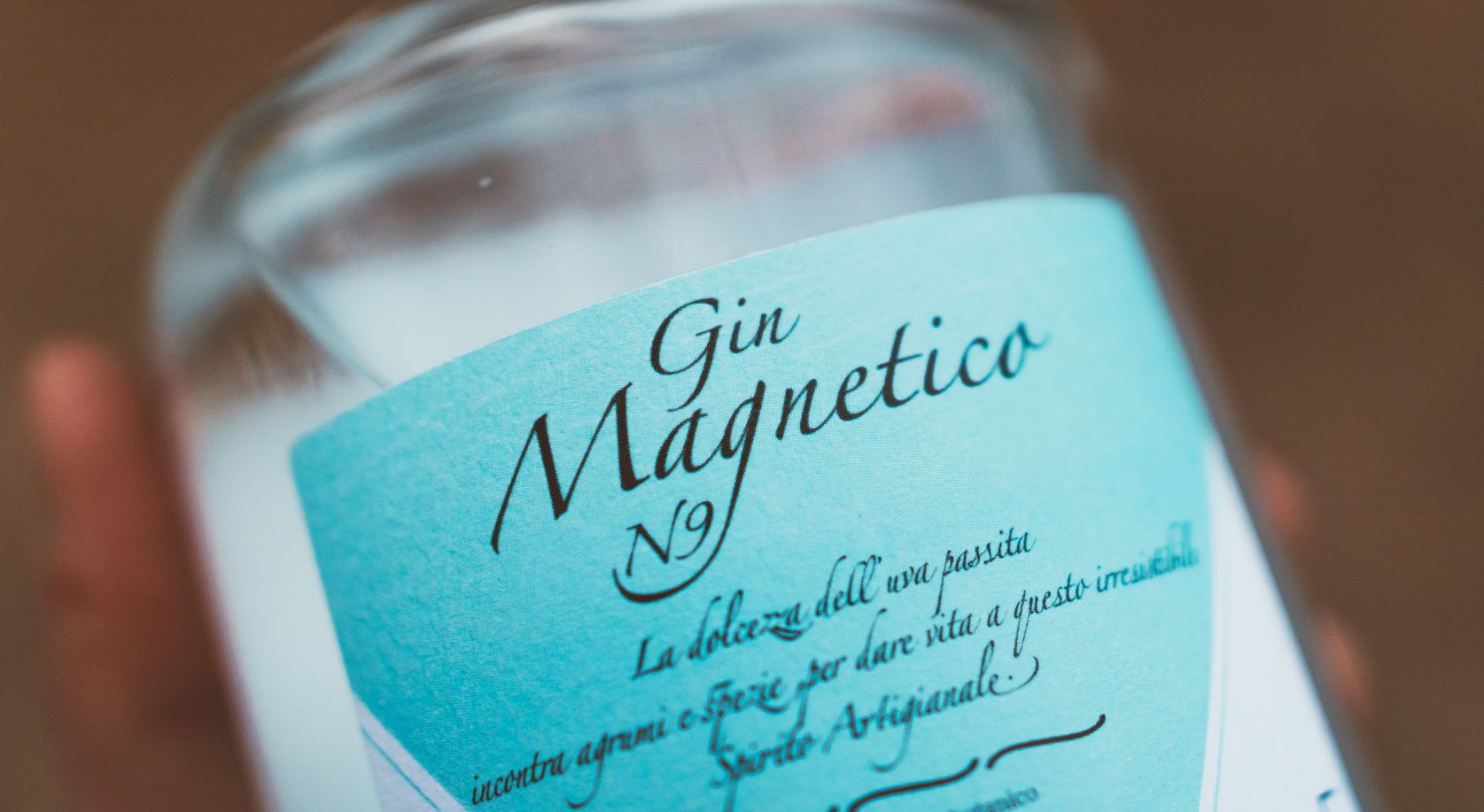 gin magnetico n9 spirito artigianale